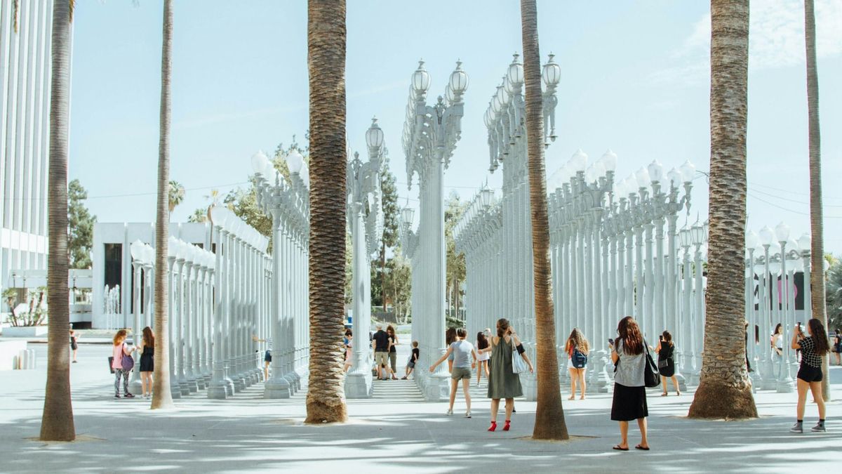 Chris Burden’s Urban Light installation at LACMA in Los Angeles, with rows of restored street lamps in the museum’s outdoor plaza.