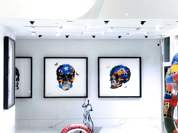 A view of an art gallery interior with paintings displayed on white walls and soft lighting.