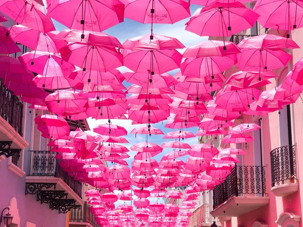 Street covered with pink umbrellas forming a vibrant canopy, creating a whimsical and artistic atmosphere.