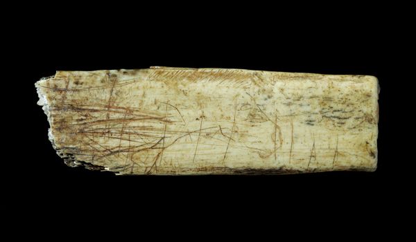 Ice Age Art in Bradford: What the Oldest Artworks Still Tell Us