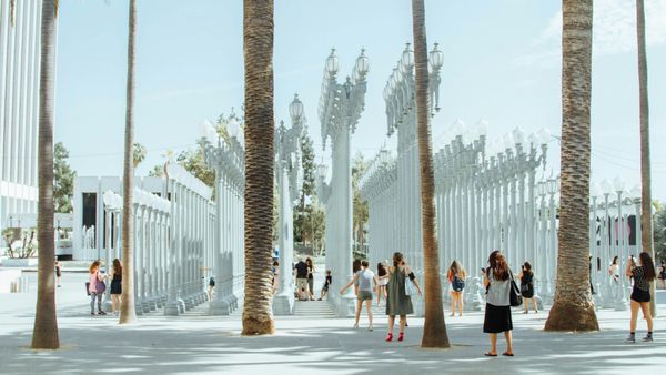 Chris Burden’s Urban Light installation at LACMA in Los Angeles, with rows of restored street lamps in the museum’s outdoor plaza.