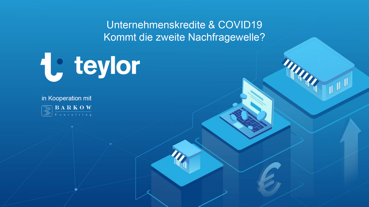 Teylor und Barkow Consulting veröffentlichen Studie zur Kreditnachfrage