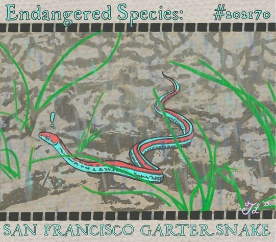 Northern California Sees Late Summer Storm: A Mixed Blessing for Dry Bay Area