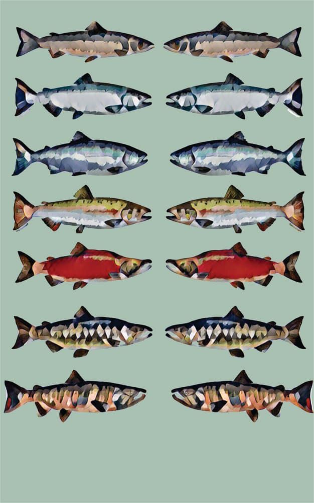 Whistleblower Releases Evidence of Serious Health & Safety Violations