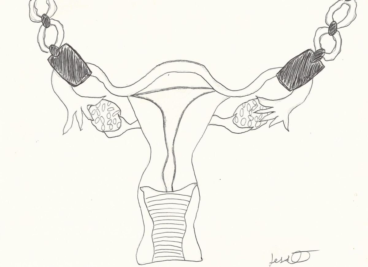 'Trivialized and Demonized,' Women's Resource Center Staffers on the State of Reproductive Rights