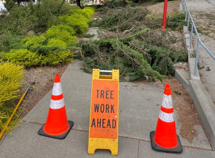Wet, Windy Weather Is Headed San Francisco's Way