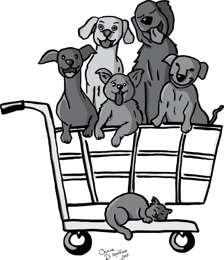 Gimme shelter: California passes pet rescue and adoption act