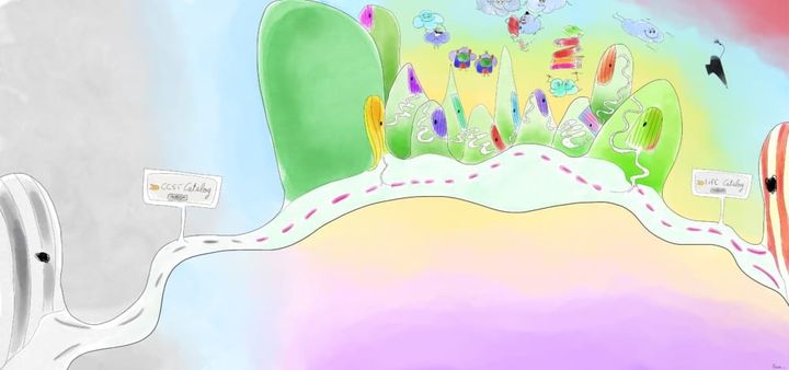 Community college saved my life. Thank you, Joe Biden, for trying to make it free.