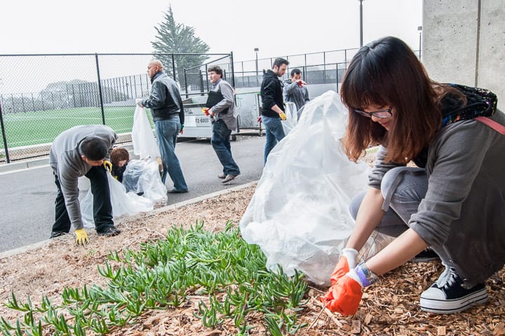 Student Charis Li, 20, right, and newly-elected Chancellor Arthur Tyler, middle, along with students, faculty and administrators clean and pick up trash during the “Day On” event on Ocean campus Nov. 2, 2013. Photo by Ekevara Kitpowsong/The Guardsman
