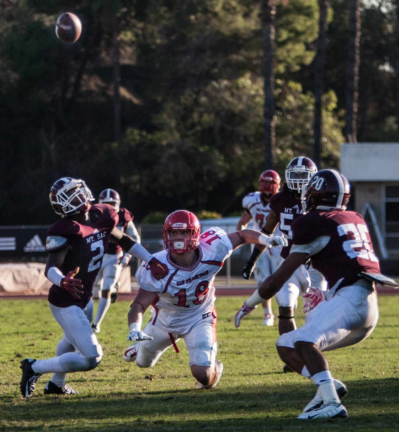 (Photo by Khaled Sayed)