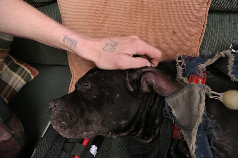 Ziggy waits for Lindley’s Spanish class to start at Ocean Campus on Tuesday, Feb. 16, 2016. They have been best friends for 2 years. (Photo by Gabriella Angotti-Jones/The Guardsman)