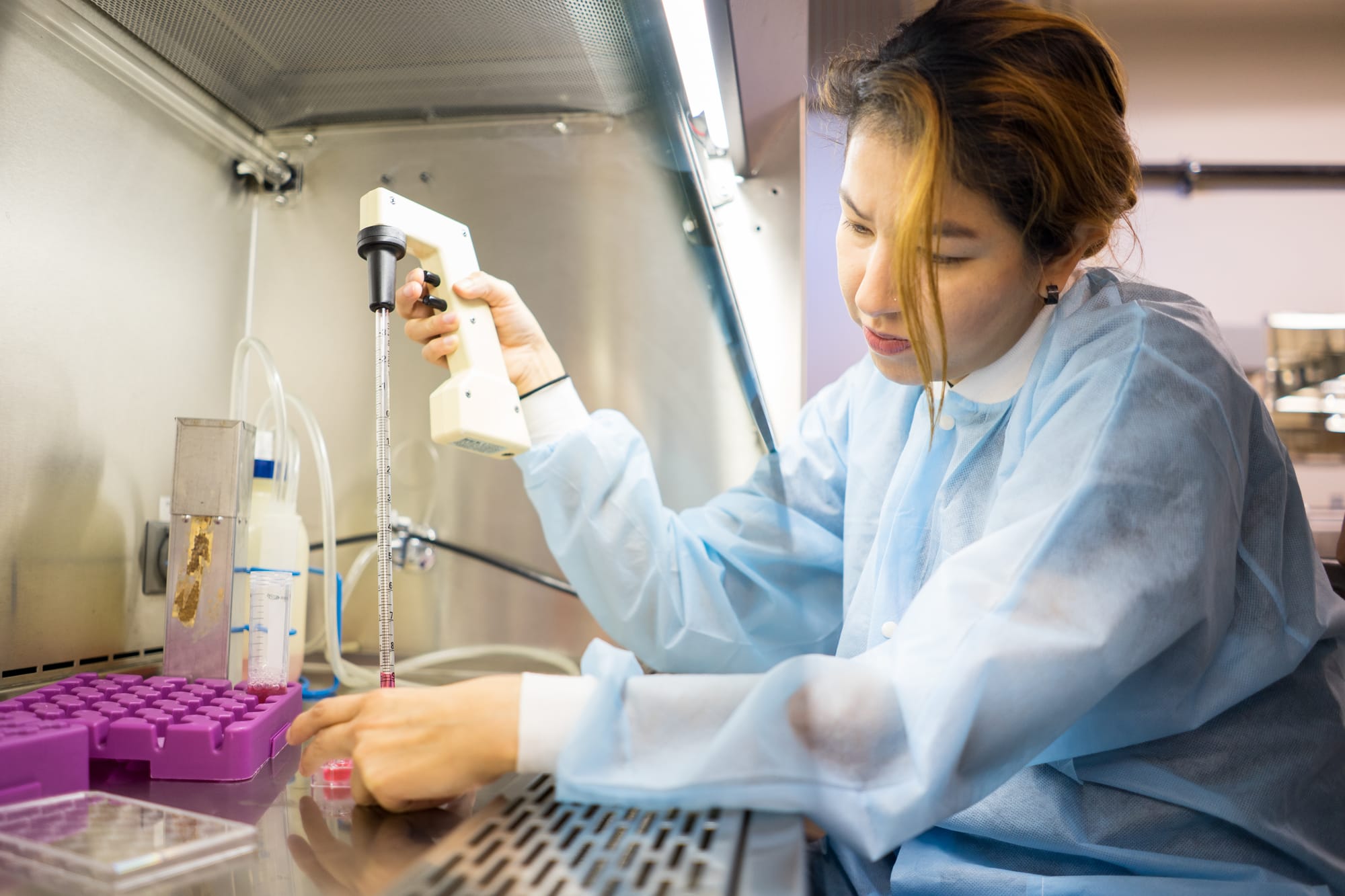 Rosa Canchari, works with cell cultures in City College’s biotech laboratory on February 22, 2016. She is taking Bio Tech 21 A, which is an intro into cellular research. February 22,2016. Photo by Amanda Aceves