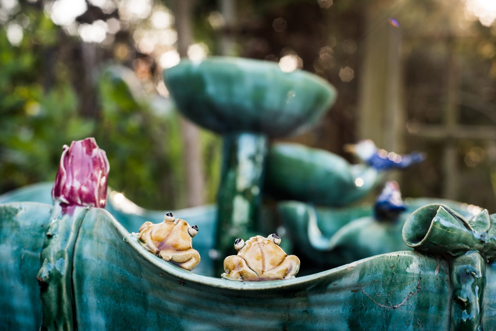 Water Fountain in the entrance Zen Garden s in the Ornamental Horticulture garden at CCSF on Wednesday 23, 2016. Photo by Gabriela Reni/ The Guardsman.