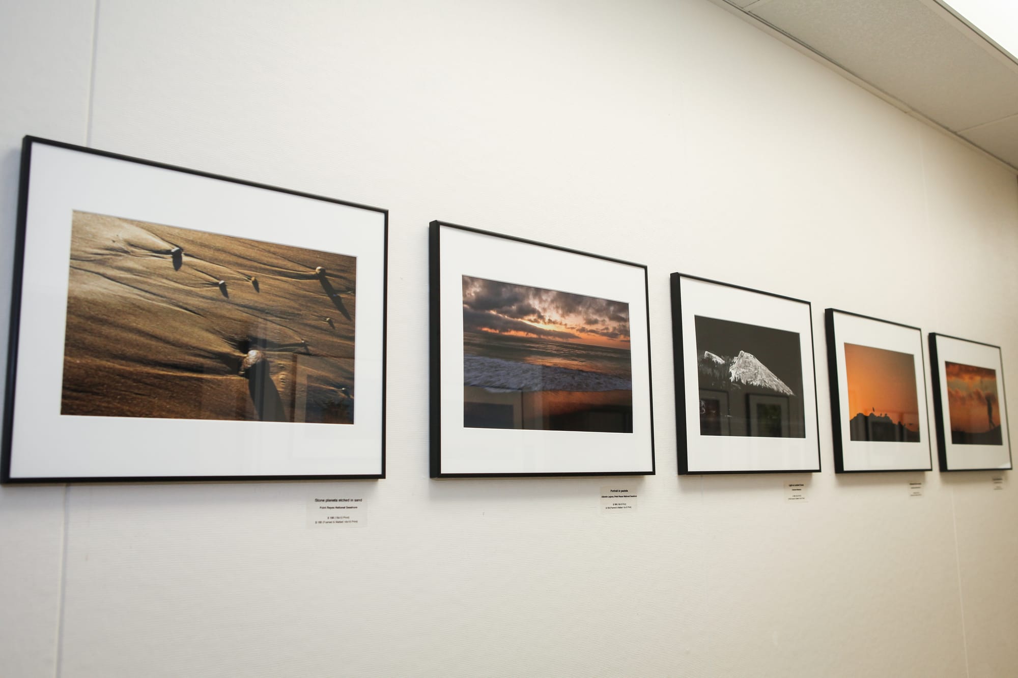 Photo by Allison Ekevara Kitpowsong