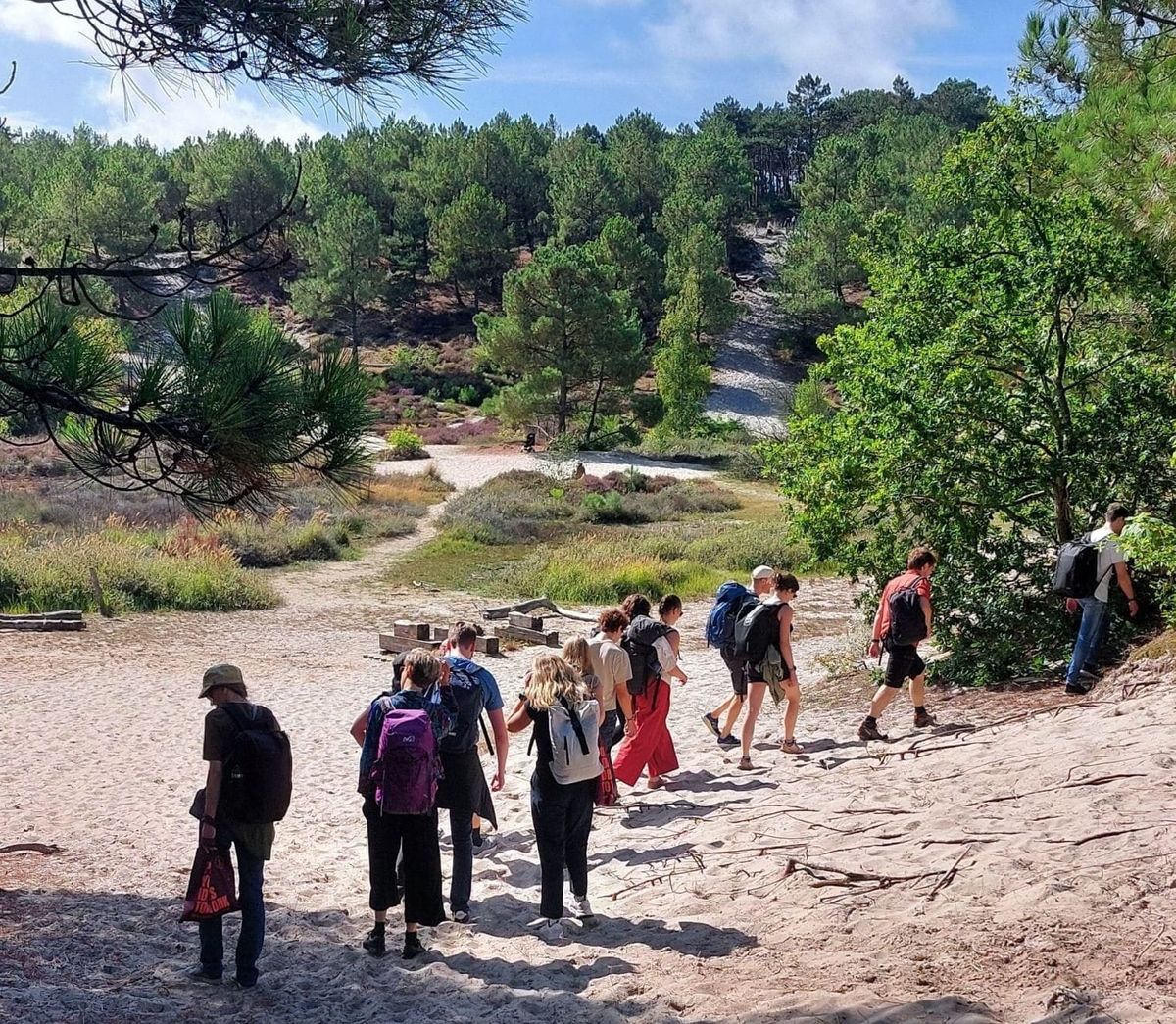 So You Want To Fight The System?