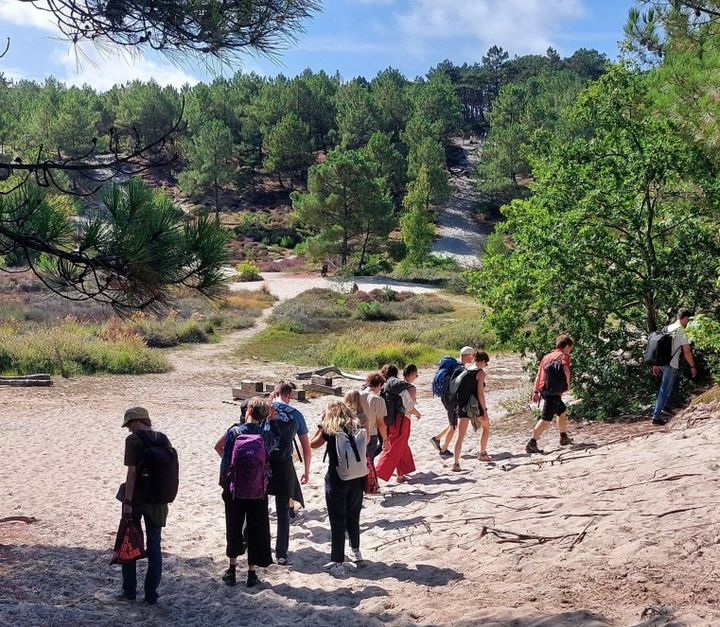 So You Want To Fight The System?