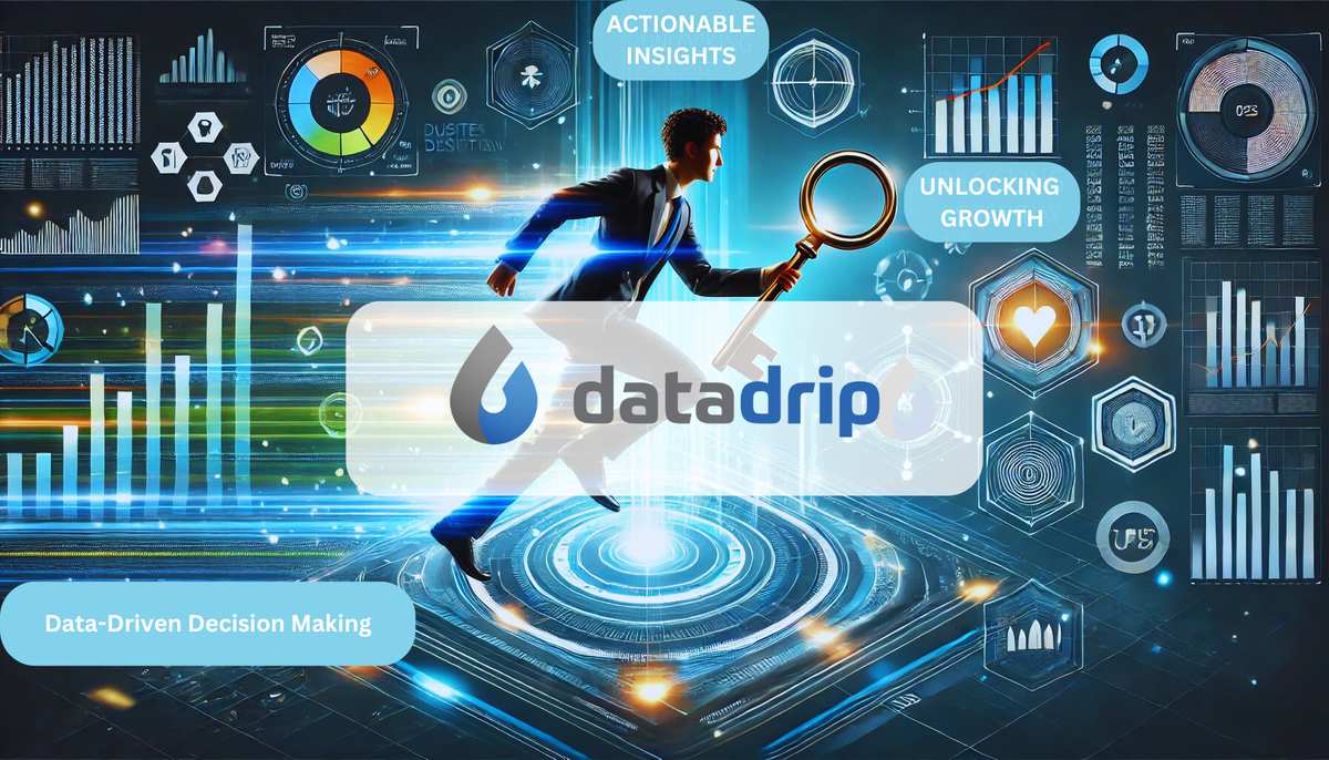 Leveraging DataDrip Solutions for Enhanced Customer Insights