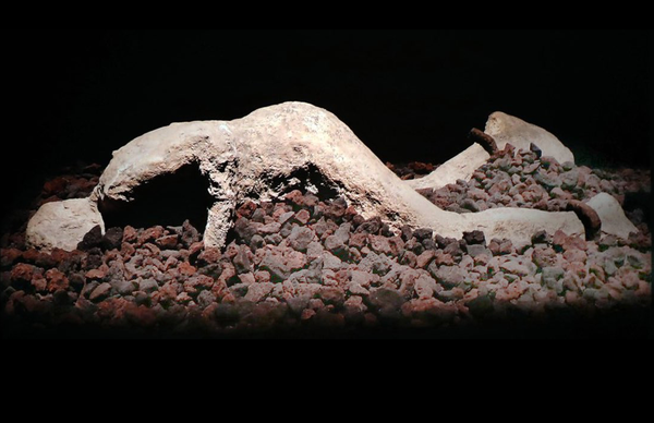 Pasts Imperfect (5.1.25)