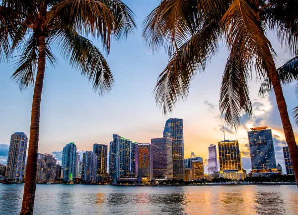 Latin Aristocrats and OF Models: How Miami Became the Capital of the Americas