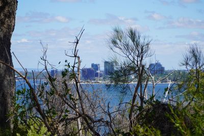 Il mio viaggio nel Down Under