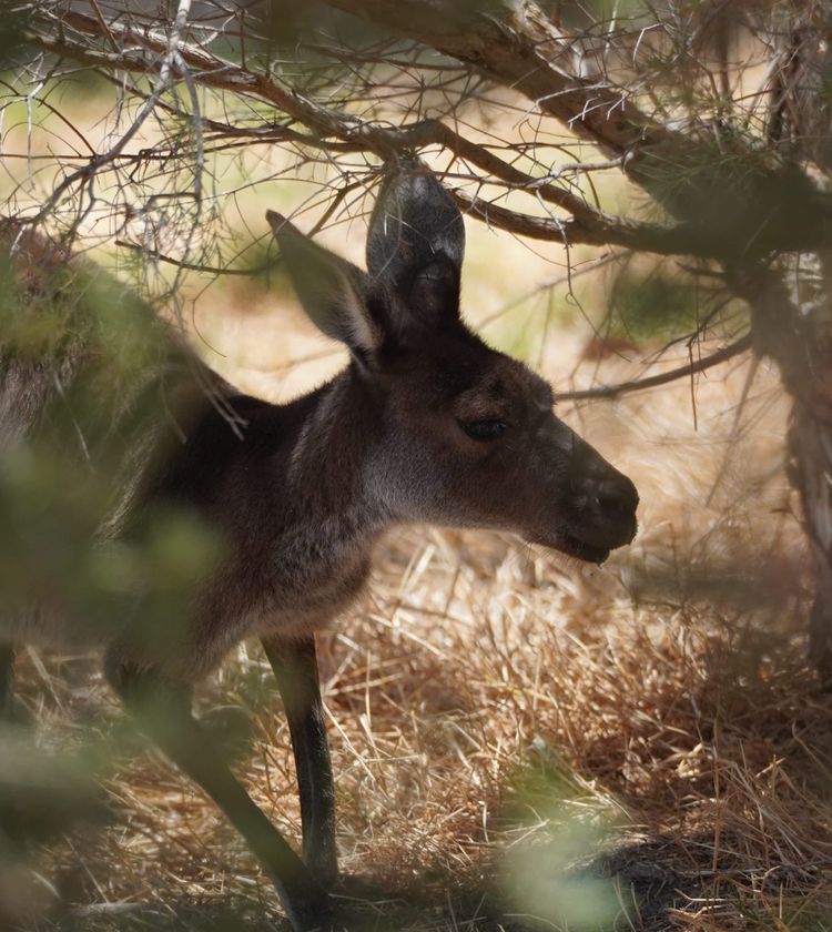 Benvenuti su Salt and Soul