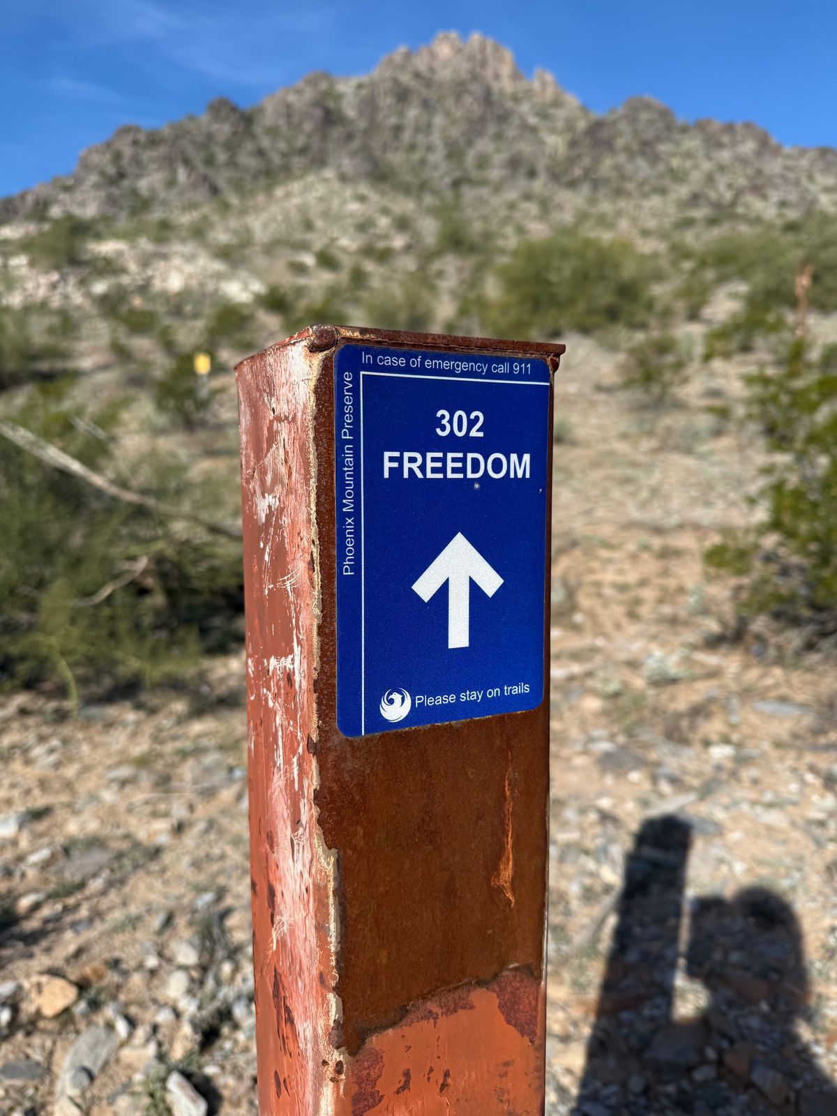 Why We Must Decentralize Fitness While Protecting Our Data