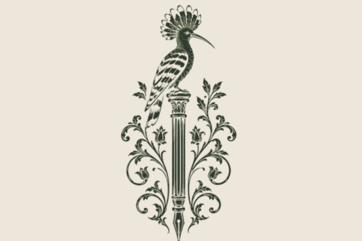 The Hoopoe