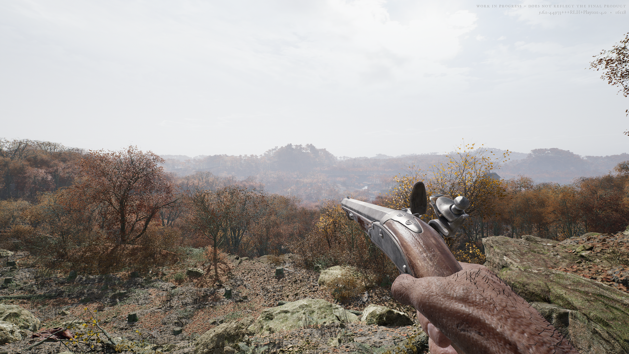A screenshot of Hunger looking at over a sprawling forest