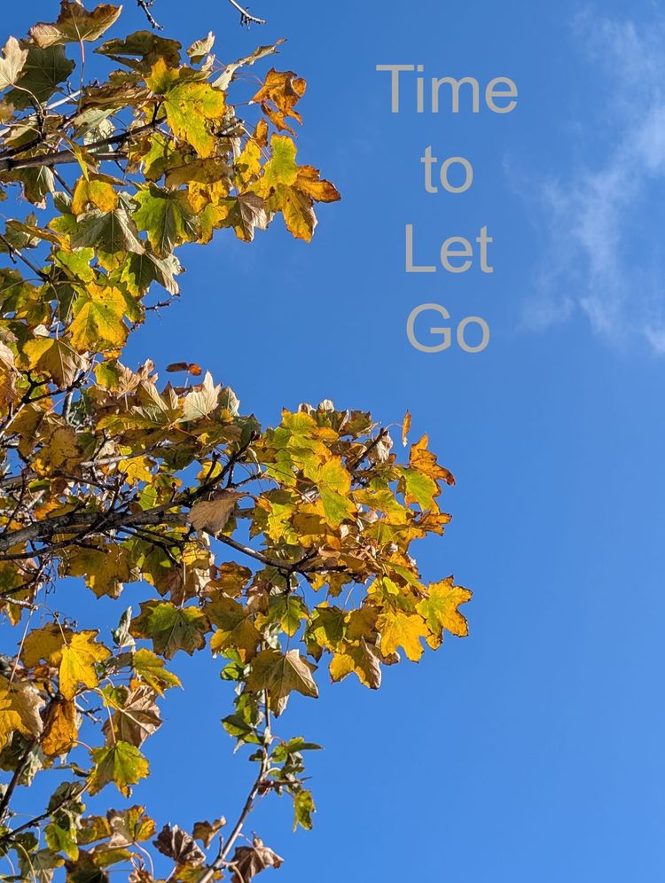 The trees are letting go. What about you?