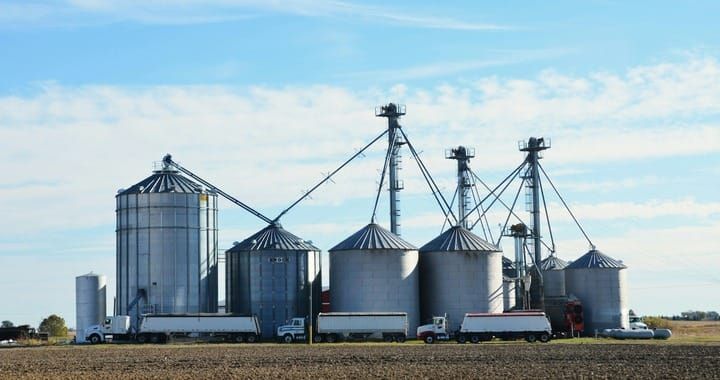 Fermă industrială, o metaforă pentru domesticirea bărbaților prin social media