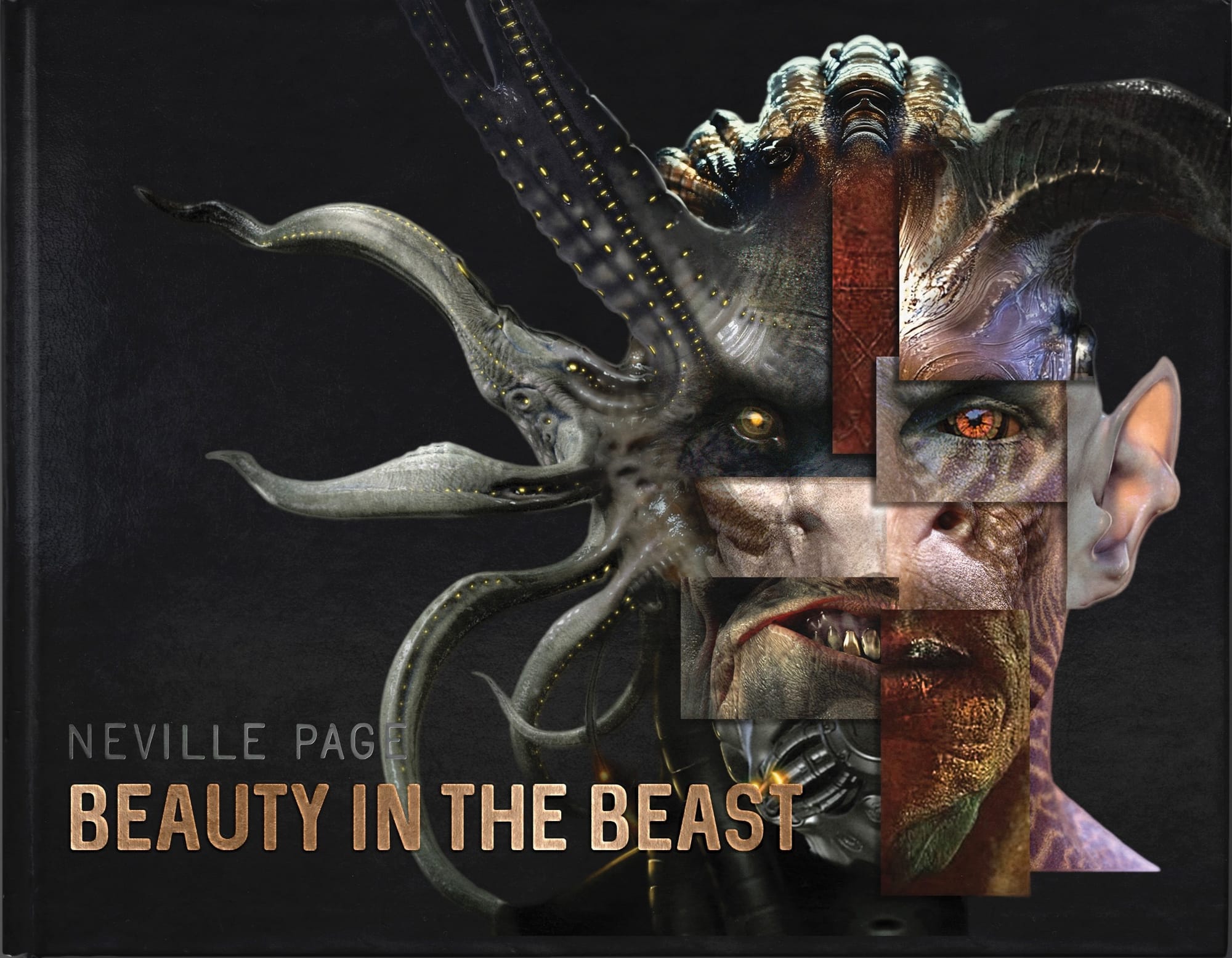 Front cover design of Neville Page's Beauty in the Beast hardcover book
