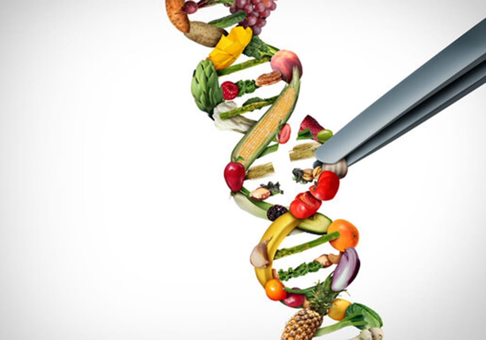 A dna strand with fruits and vegetables

Description automatically generated