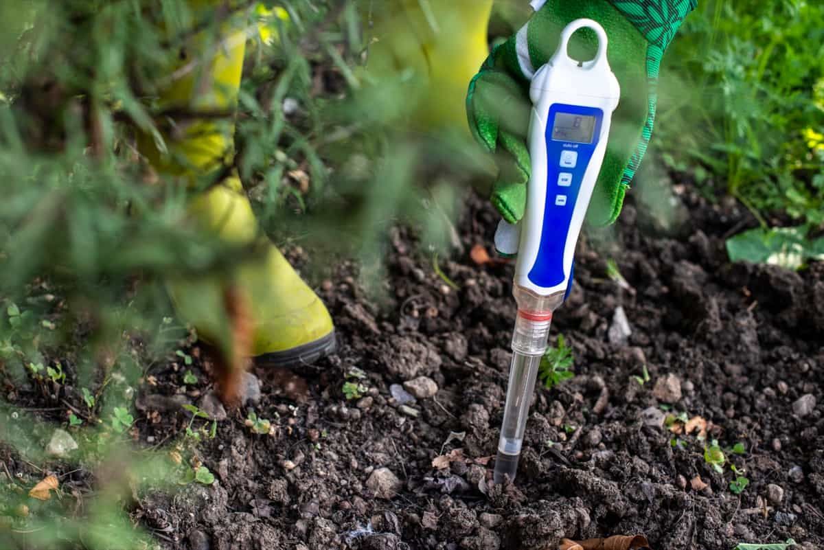 Deregulated Nutrient Sensing: A Key Contributor to Aging and Its Related Problems