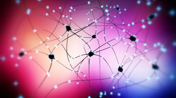 Altered Intracellular Communication: A Hallmark of Aging and Its Role in Deterioration