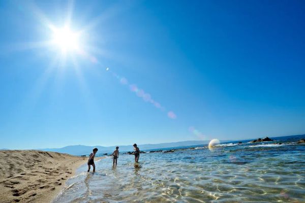 The Great Vitamin D Debate: Sunlight vs. Supplements
