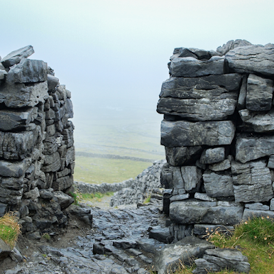 Stone wall in grasslands. 