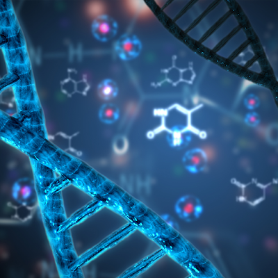 DNA molecule double helix proteins