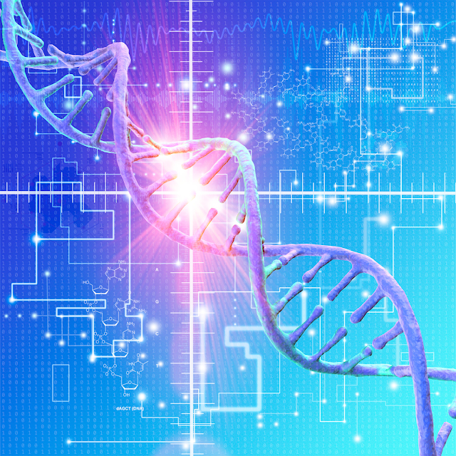 DNA double helix