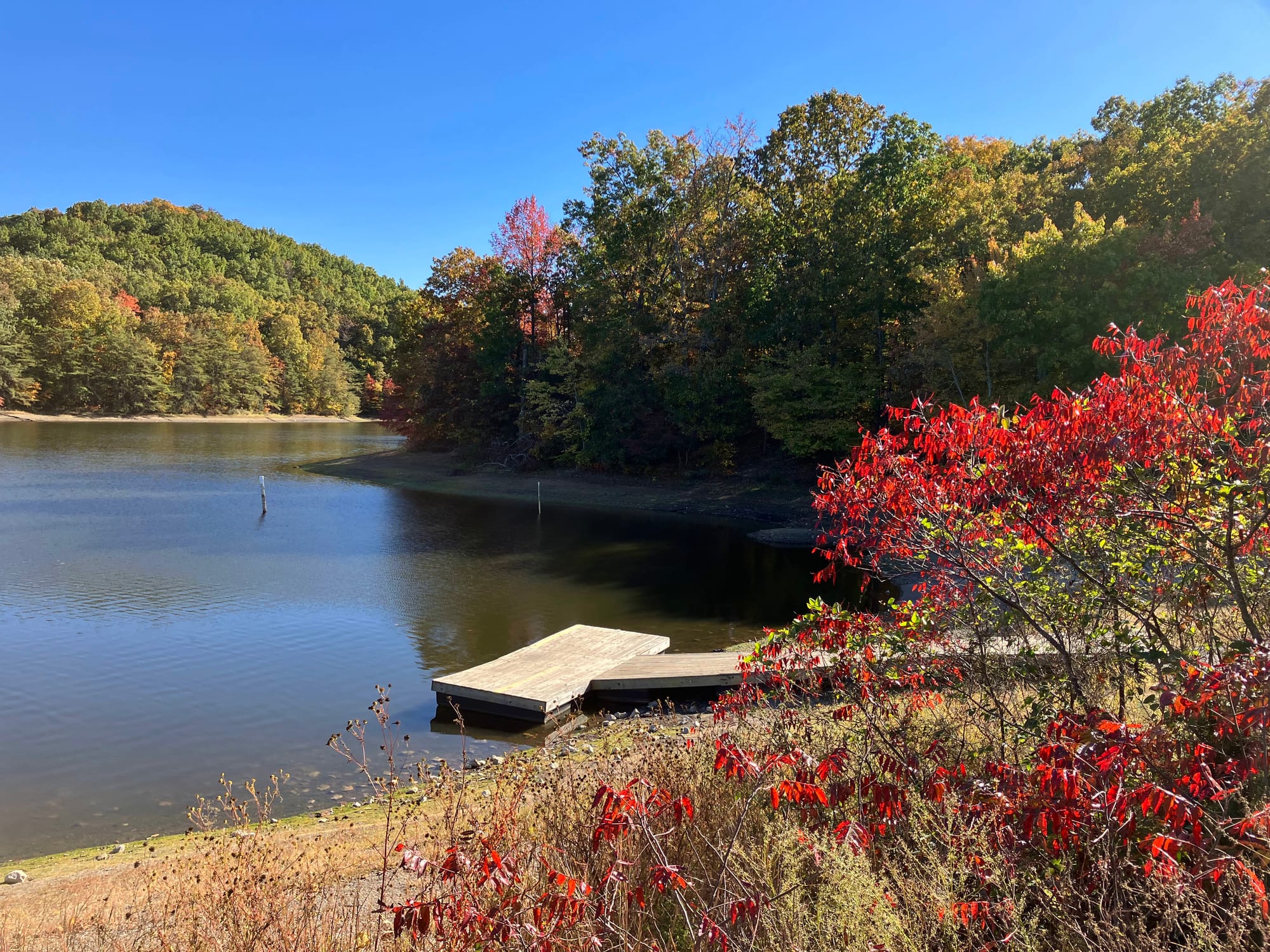 fishingpond