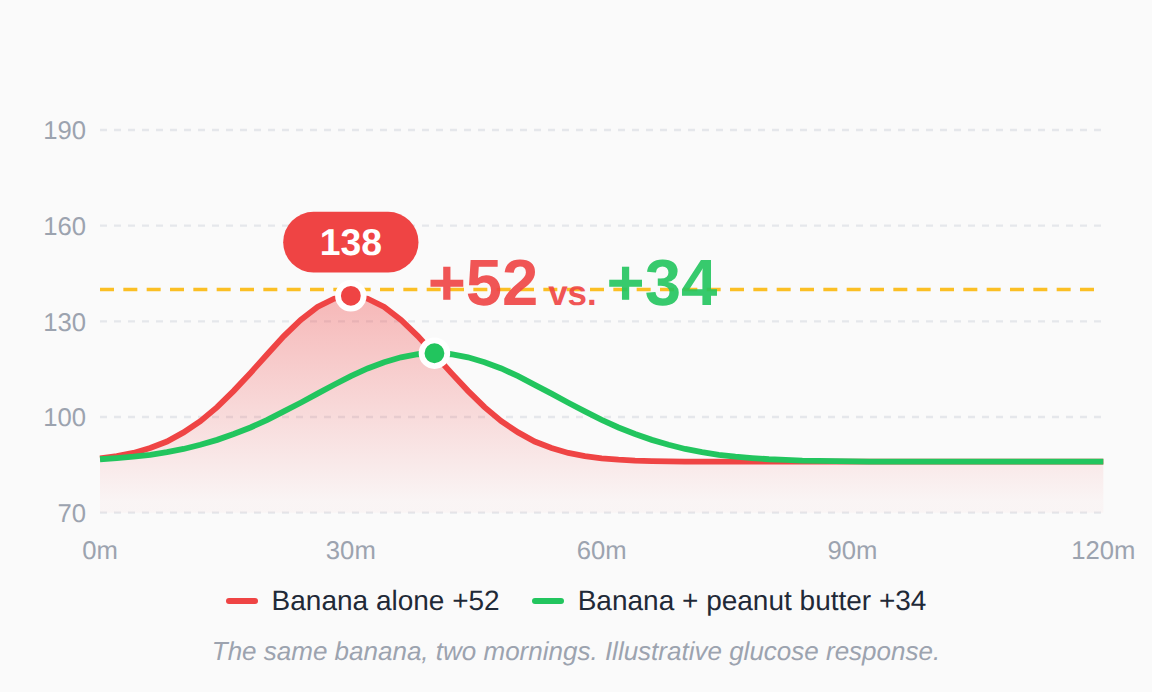 Glucose chart of the same banana eaten on two mornings. Eaten alone it raised blood sugar 52 points and peaked at 30 minutes. Eaten with two tablespoons of peanut butter it raised blood sugar 34 points, peaked later and came down more gently.