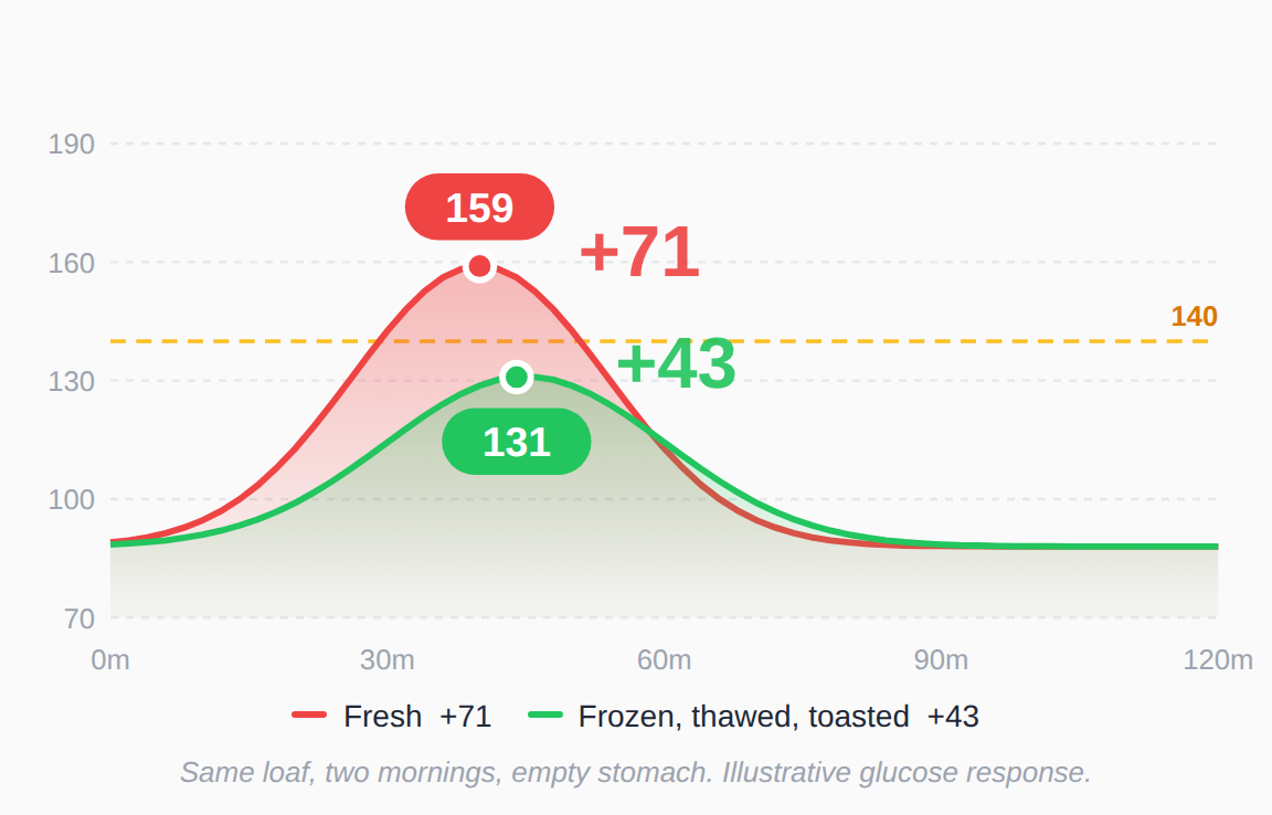 Glucose chart. Two slices of fresh white bread raised blood sugar 71 points to a peak of 159. The same bread frozen, thawed and toasted raised it 43 points to 131, staying under the 140 line.