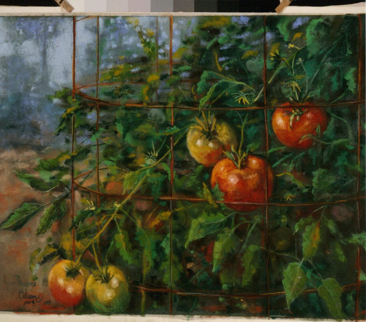 Tomato Man