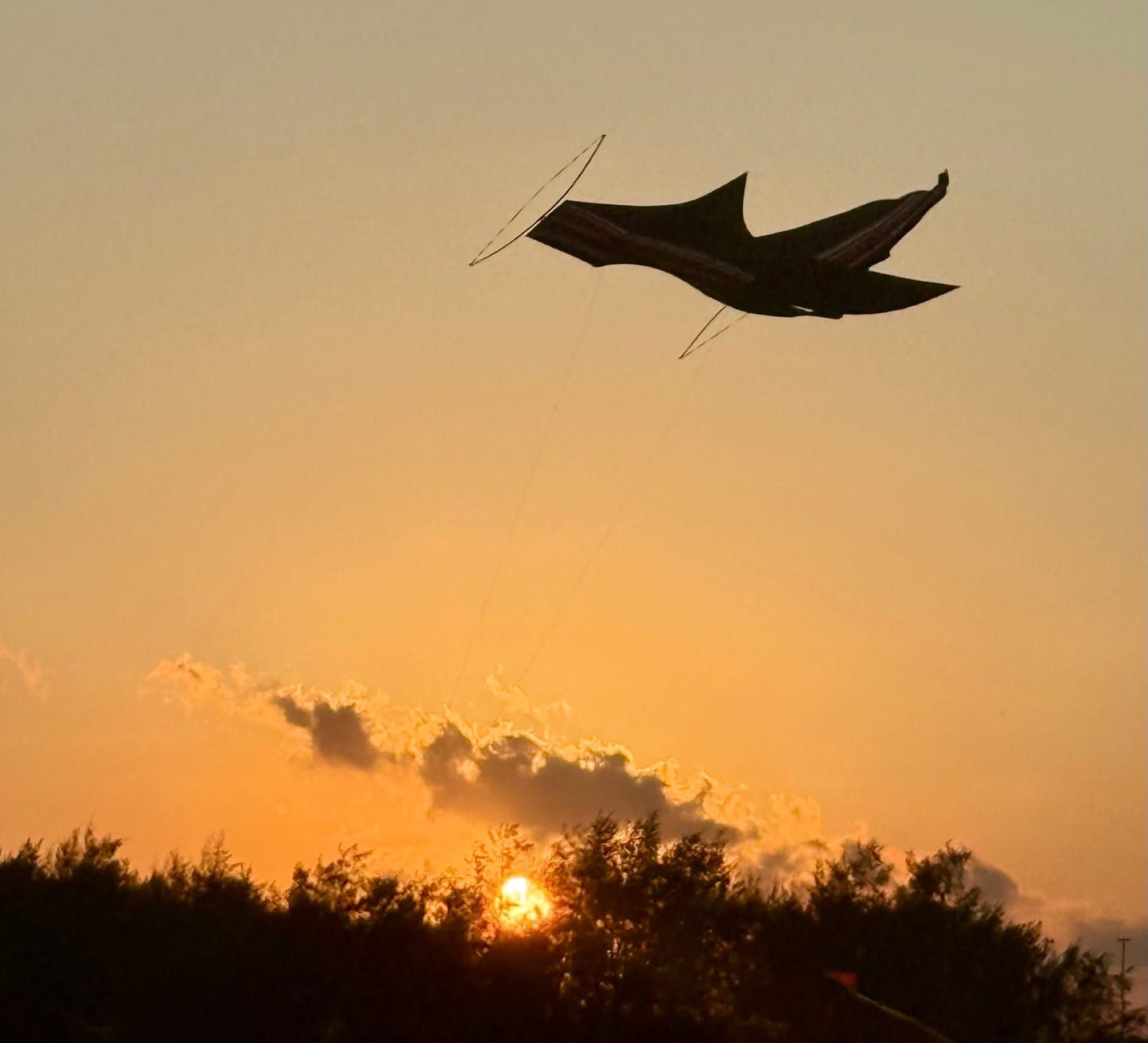 Kites