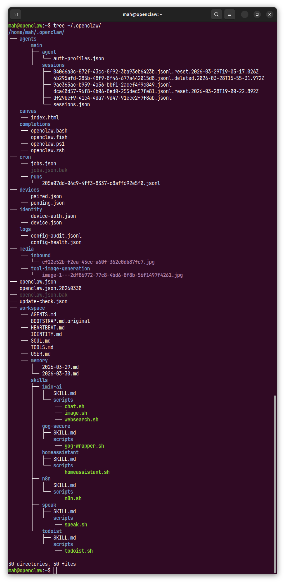 OpenClaw directory structure documentation graphic illustrating local workspace file organization.