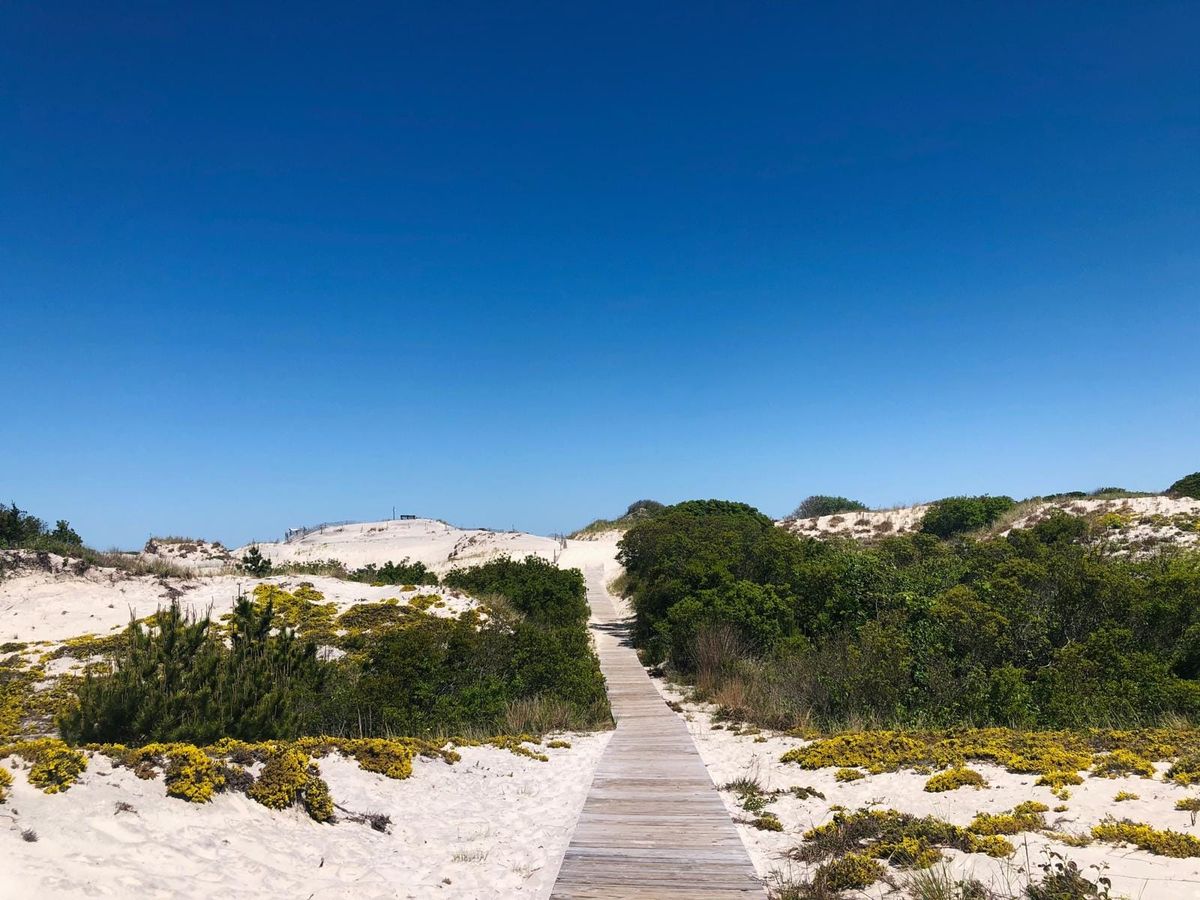 Best Beaches of the Jersey Shore 2025 Edition