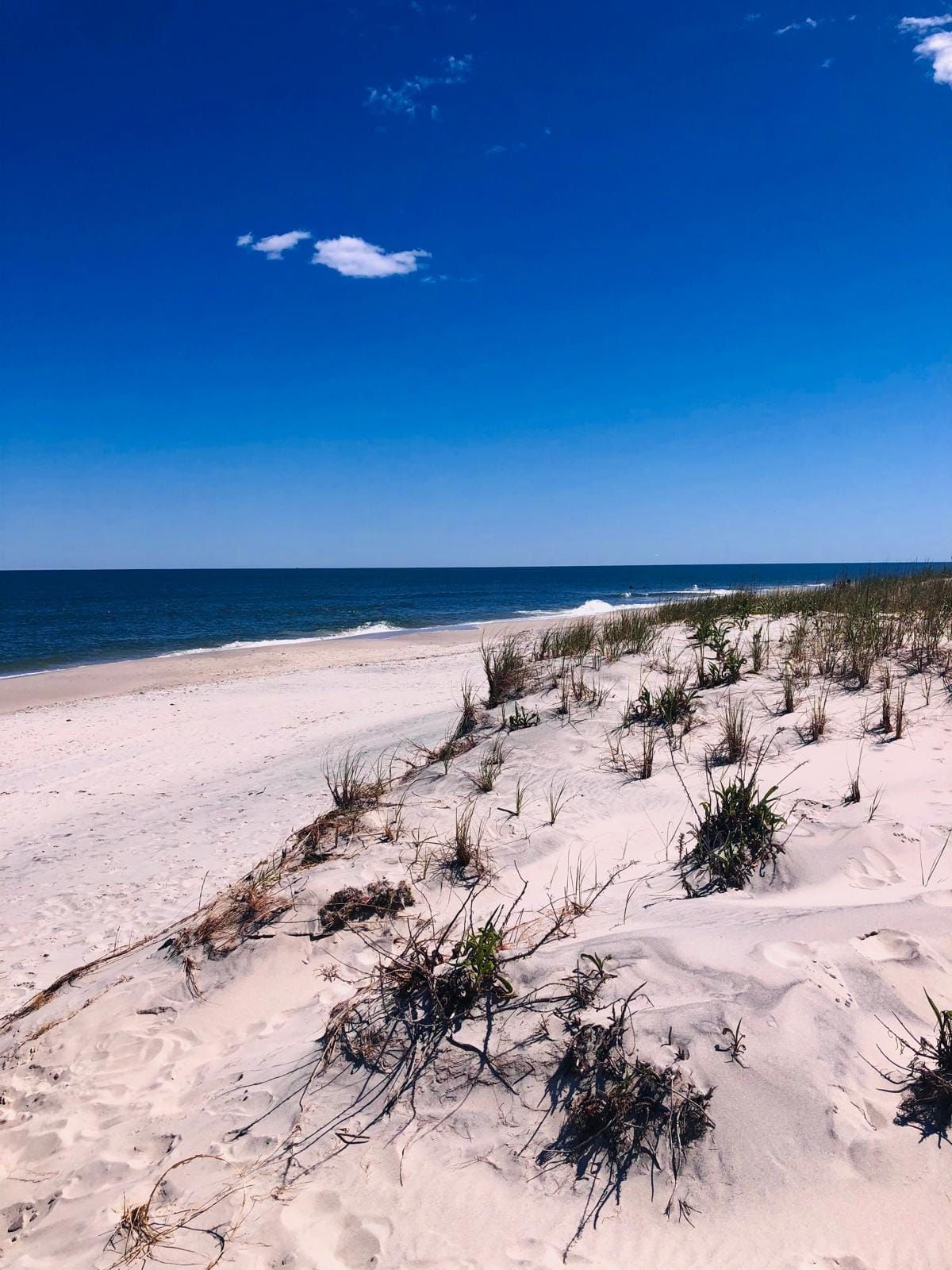 Access Moments of Zen