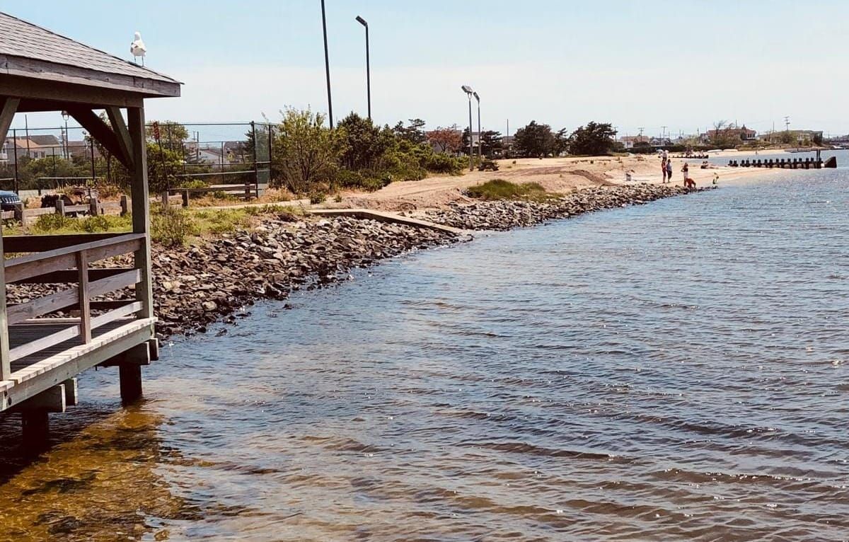 Unsolicited Advice: Enjoy the Bay