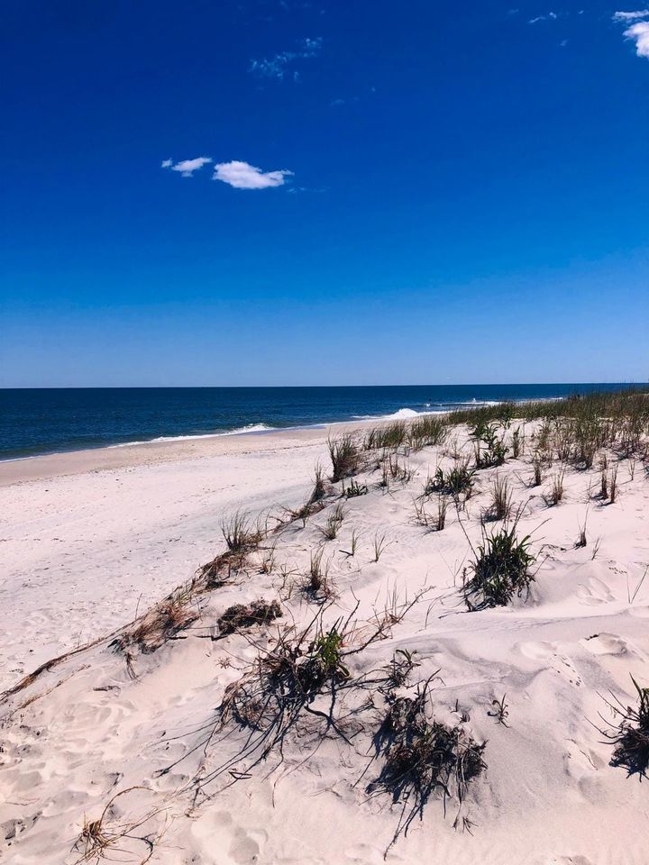 Access Moments of Zen