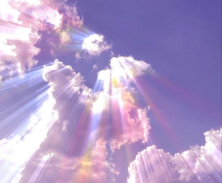 Town Guide: Toms River