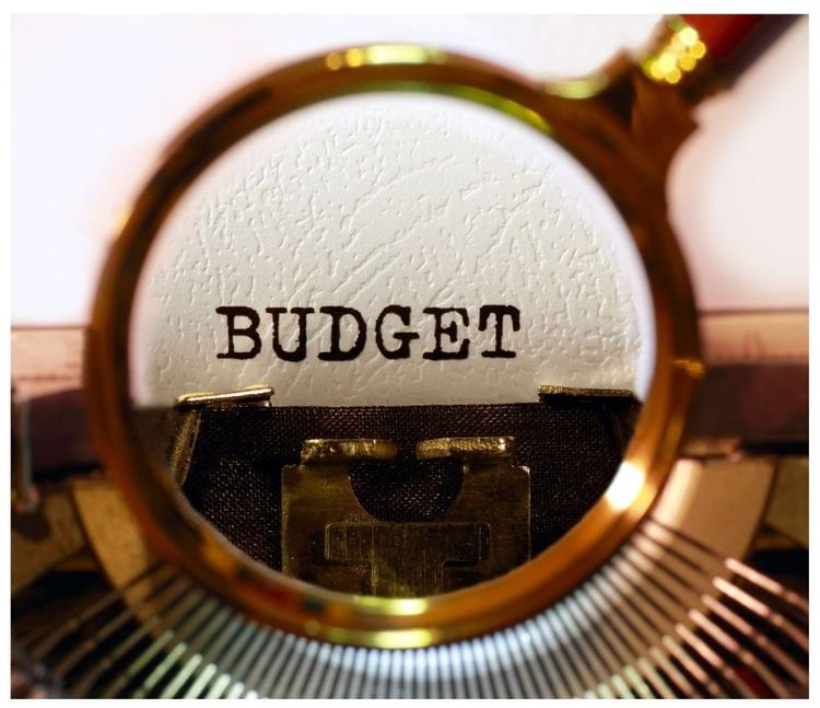 Budget Speech 2024: Saving Billions